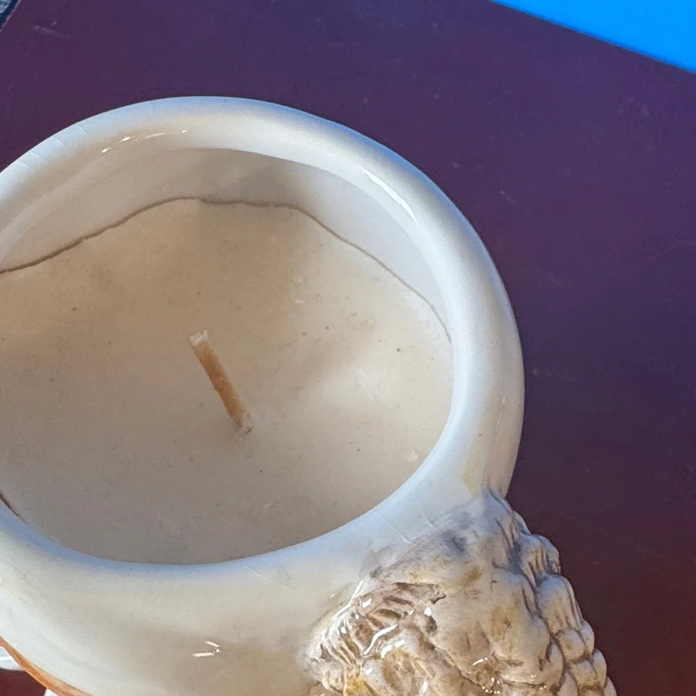 N/A adorable ceramic